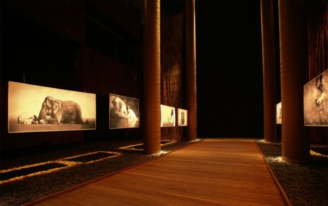Shigeru Ban, Shigeru Ban architecture, Nomadic Museum, traveling museum, cargotecture, shipping container architecture, shipping container construction, paper tube construction, paper tube architecture, green architecture, green museum, green design