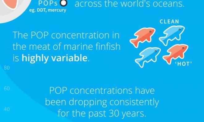 ocean pollution, fish, seafood, polluted seafood, toxic chemicals in seafood, Scripps Institution of Oceanography at University of California-San Diego, lindsay bonito, study of pollutants in fish