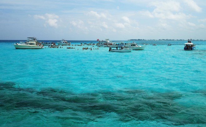 coral reef, cayman islands, marine conservation, cruise ships, Paul Allen, Microsoft, environmental destruction, coral reef destruction