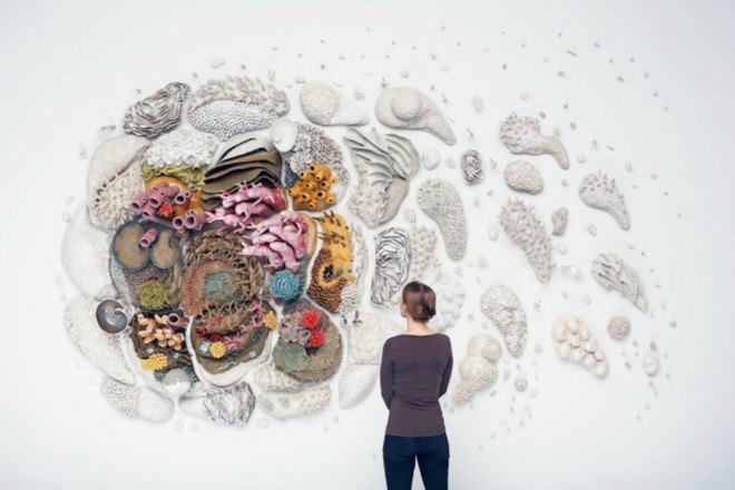 Courtney Mattison, coral art, climate change art, coral reef damage, sea issues, ocean damage, Sea Change art exhibition, coral as artwork, porcelain sculptures, porcelain art work, coral reef porcelain, climate change, coral reef danger, coral reef extinction,