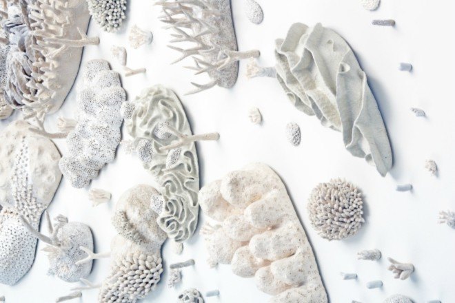Courtney Mattison, coral art, climate change art, coral reef damage, sea issues, ocean damage, Sea Change art exhibition, coral as artwork, porcelain sculptures, porcelain art work, coral reef porcelain, climate change, coral reef danger, coral reef extinction,