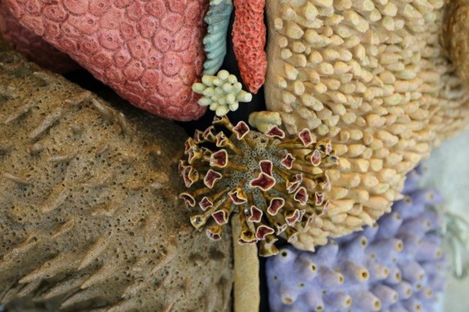 Courtney Mattison, coral art, climate change art, coral reef damage, sea issues, ocean damage, Sea Change art exhibition, coral as artwork, porcelain sculptures, porcelain art work, coral reef porcelain, climate change, coral reef danger, coral reef extinction,