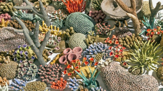 Courtney Mattison, coral art, climate change art, coral reef damage, sea issues, ocean damage, Sea Change art exhibition, coral as artwork, porcelain sculptures, porcelain art work, coral reef porcelain, climate change, coral reef danger, coral reef extinction,