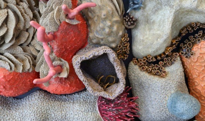 Courtney Mattison, coral art, climate change art, coral reef damage, sea issues, ocean damage, Sea Change art exhibition, coral as artwork, porcelain sculptures, porcelain art work, coral reef porcelain, climate change, coral reef danger, coral reef extinction,