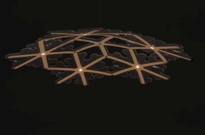 david trubridge, green lighting, nature lighting, biomimicry, navicula lighting, asteriola lighting, formosa lighting, light design, artistic lighting, diatoms, green design, nature design