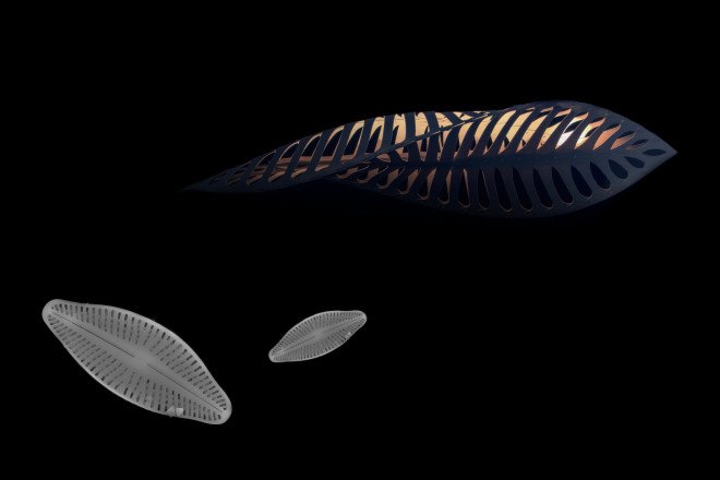 david trubridge, green lighting, nature lighting, biomimicry, navicula lighting, asteriola lighting, formosa lighting, light design, artistic lighting, diatoms, green design, nature design