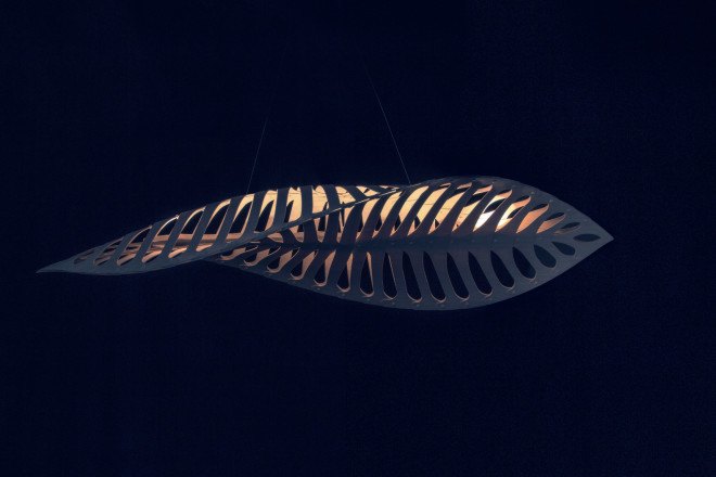 david trubridge, green lighting, nature lighting, biomimicry, navicula lighting, asteriola lighting, formosa lighting, light design, artistic lighting, diatoms, green design, nature design