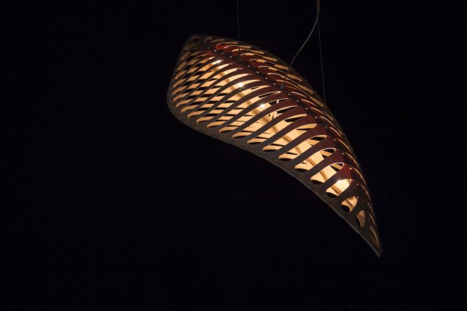 david trubridge, green lighting, nature lighting, biomimicry, navicula lighting, asteriola lighting, formosa lighting, light design, artistic lighting, diatoms, green design, nature design