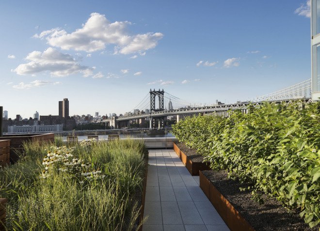 corten steel, Two Trees NY, 60 Water Street, Dock Street Rooftop Terrace, James Corner Field Operations, James Corner, meadow landscape, landscape architecture, rooftop terrace, rooftop garden, landscape architects, Leeser Architecture,