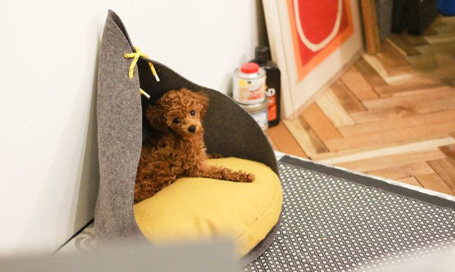 BAD MARLON, pet houses, minimalist design, green design, pitched roof, tiny houses, miniature houses, miniature architecture, bean bags