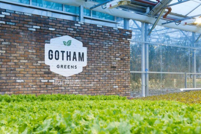 Gotham Greens, Jamaica Avenue greenhouse, Queens gotham greens, whole foods market, green jobs, farm fresh, farmers market, gotham greens, farming education, agriculture, environmental education, hurricane sandy, superstorm sandy, nyc urban farms, urban farming, nyc greenhouse, whole foods, whole foods brooklyn, whole foods greenhouse