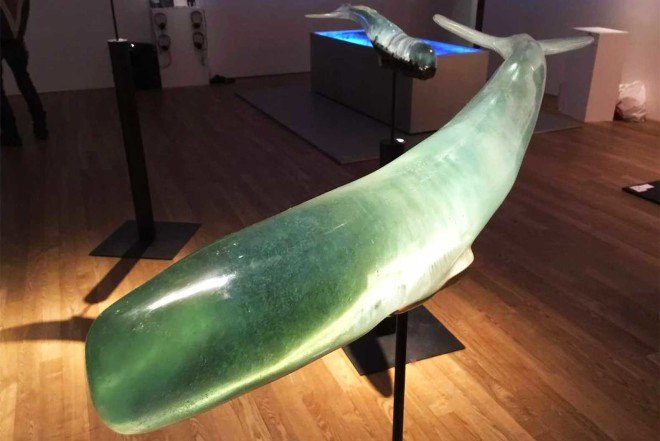 Isana Yamada, Samsara, glowing whales, Japanese whales, ocean scenes, Tokyo University of the Arts, Tsukumogami