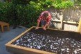 Jason Hodges, Grass Daybed, diy yard tips, grass bed, australian landscape gardener, Better Homes & Gardens, diy grass bed, diy garden furniture, picnic tips, green design, make your own bed, landscape art, yard art