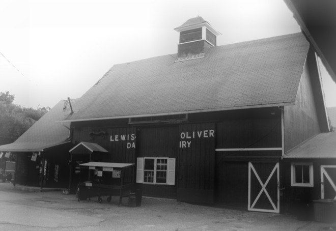 lewis oliver dairy farm, long island dairy farm, friends of the farm, sweet annabelle's, long island farm sanctuary, dairy farm turned animal sanctuary, vegan ice cream, ben & jerry's, non-dairy ice cream, fairtrade, non-gmo