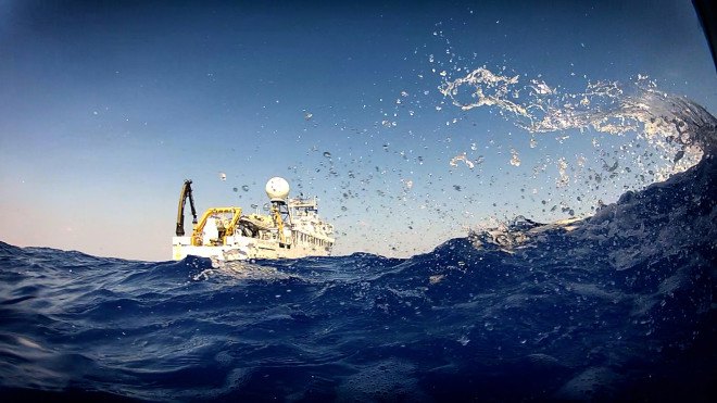 Ocean research, University of California San Diego, fish, fish farts, mysterious humming, mysterious buzzing