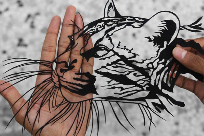Parth Kothekar, intricate art, papercut art, India, paper butterfly, paper animals, papercut knife, Ahmedabad