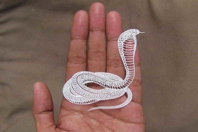 Parth Kothekar, intricate art, papercut art, India, paper butterfly, paper animals, papercut knife, Ahmedabad