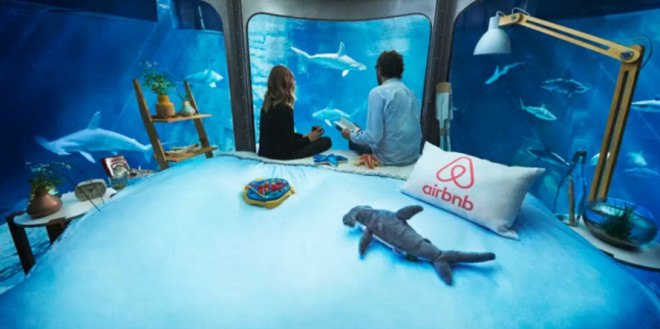 airbnb, sharks, france, paris, aquarium, airbnb contest, airbnb underwater bedroom, airbnb shark aquarium contest, underwater bedroom, surrounded by sharks, l'aquarium de paris