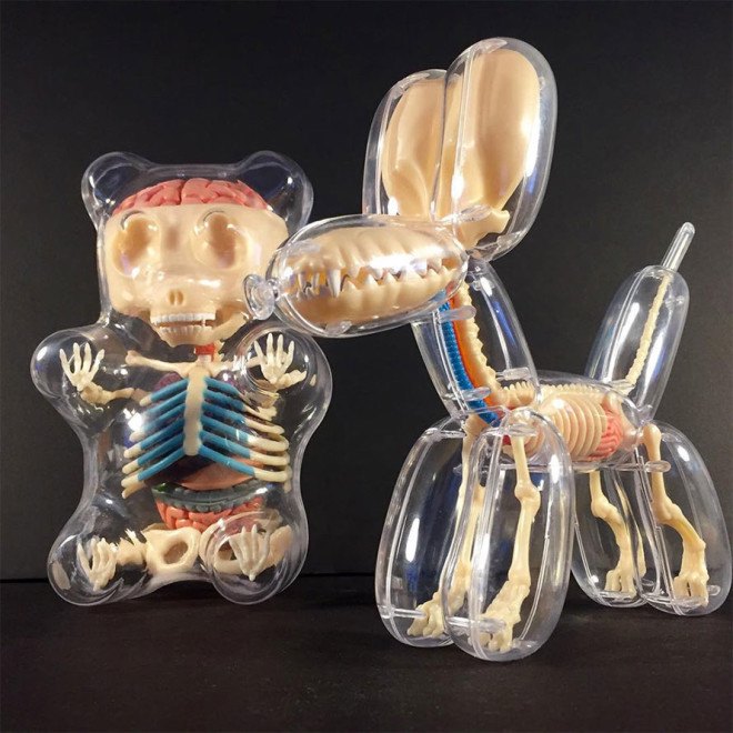 Jason Freeny, anatomical balloon dog, surreal art, Jason Freeny anatomical art kits, surrealist art