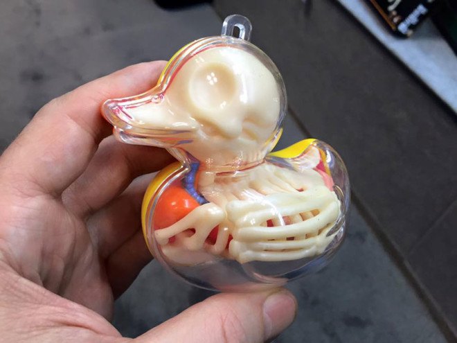 Jason Freeny, anatomical balloon dog, surreal art, Jason Freeny anatomical art kits, surrealist art