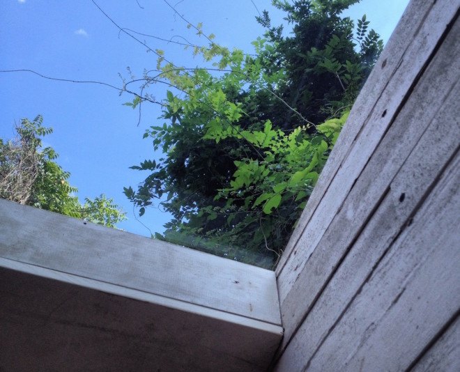 Backyard Garden Studio, Backyard Garden Studio by Nicholas Hunt, garden studio in Brooklyn, self-built studio,