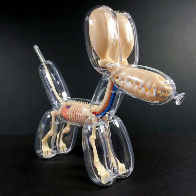 Jason Freeny, anatomical balloon dog, surreal art, Jason Freeny anatomical art kits, surrealist art