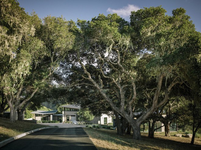 Butterfly House by Feldman Architecture, Santa Lucia Preserve house, eco-friendly butterly house, Butterfly roof architecture, artful rainwater design,