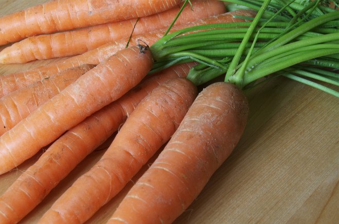 gardening, vegetables, diy, conservation, food, spring garden, garden, veggies from scraps, food from scraps, growing vegetables, grow your own garden, how to grow vegetables, how to grow your own garden, food scraps, carrots