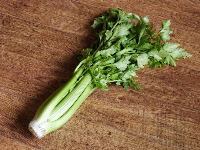 gardening, vegetables, diy, conservation, food, spring garden, garden, veggies from scraps, food from scraps, growing vegetables, grow your own garden, how to grow vegetables, how to grow your own garden, food scraps, celery