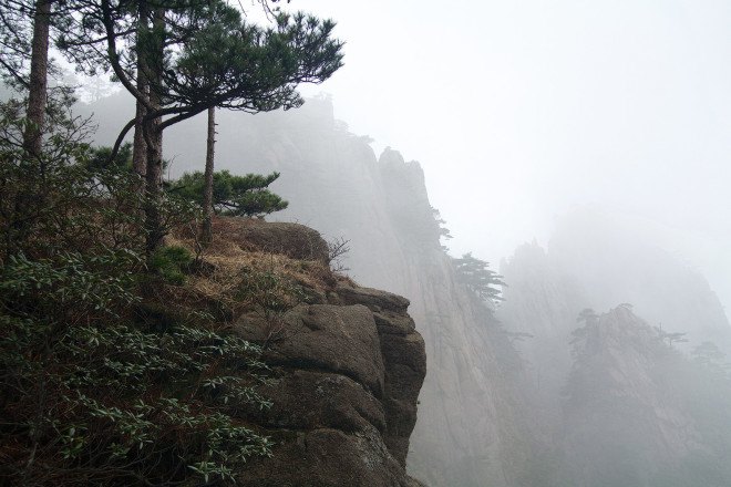China, deforestation, reforestation, National Forest Conservation Program, climate change, conservation, trees, forests