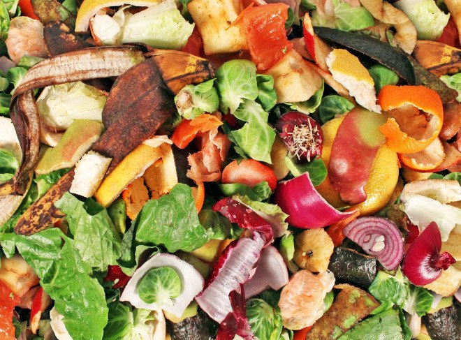food waste, organic waste, food scraps, compost, curbside compost collection, department of sanitation, nyc zerowaste, nyc compost