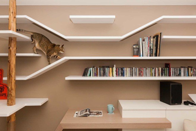 Design Thinking, cat furniture, Taiwan studio, pine wood furniture, pets furniture
