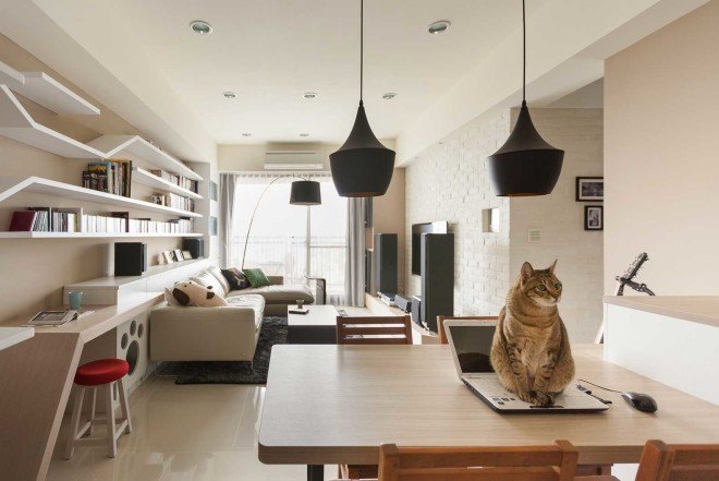 Design Thinking, cat furniture, Taiwan studio, pine wood furniture, pets furniture