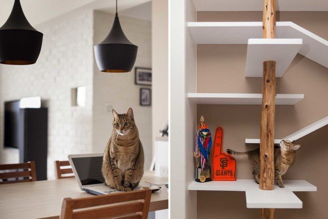 Design Thinking, cat furniture, Taiwan studio, pine wood furniture, pets furniture