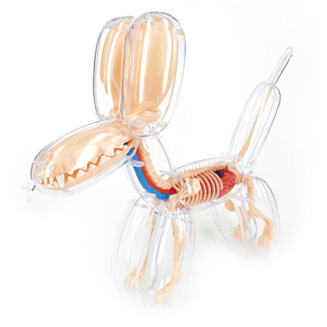 Jason Freeny, anatomical balloon dog, surreal art, Jason Freeny anatomical art kits, surrealist art