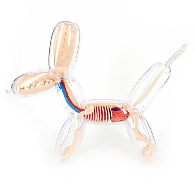 Jason Freeny, anatomical balloon dog, surreal art, Jason Freeny anatomical art kits, surrealist art