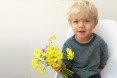 oxalis flowers, oxalis bouquet, false shamrocks, edible oxalis, oxalis, sourgrass, bermuda buttercup, pesticides in san francisco, san francisco oxalis
