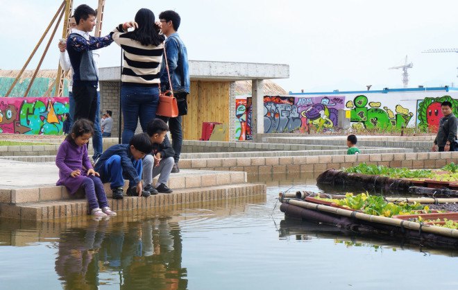 Thomas Chung, Floating Fields, Bi-City Biennale Urbanism/Architecture, aquaponics, water purification, water filter, fish ponds, urban farming, urban agriculture, algae, microalgae, green urban design, urban garden