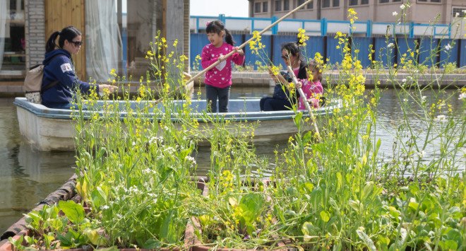 Thomas Chung, Floating Fields, Bi-City Biennale Urbanism/Architecture, aquaponics, water purification, water filter, fish ponds, urban farming, urban agriculture, algae, microalgae, green urban design, urban garden