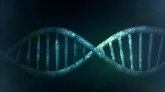 HIV/AIDS, HIV, AIDS, DNA, genome, human DNA, human genome, genes, virus, gene editing, CRISPR/Cas9