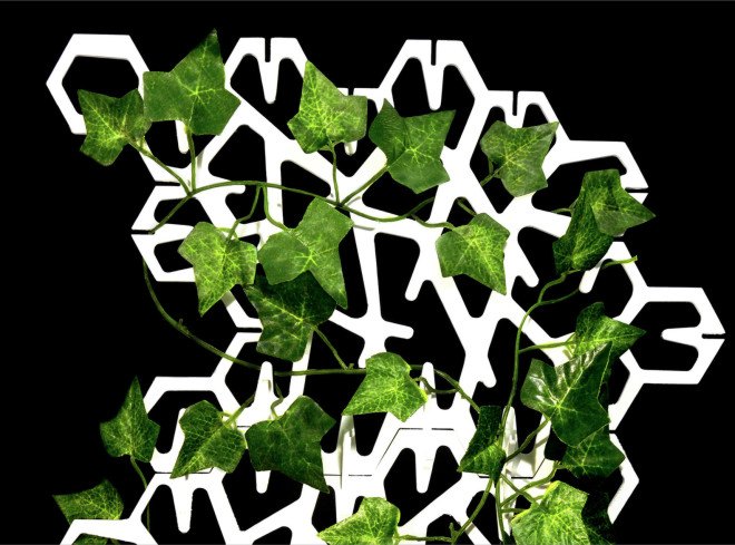 IVY planter, green wall, diy green wall, mini green wall, mini living wall, green design, interior design, green interior design, indoor gardening, indoor green wall, home green wall, how to grow a green wall at home