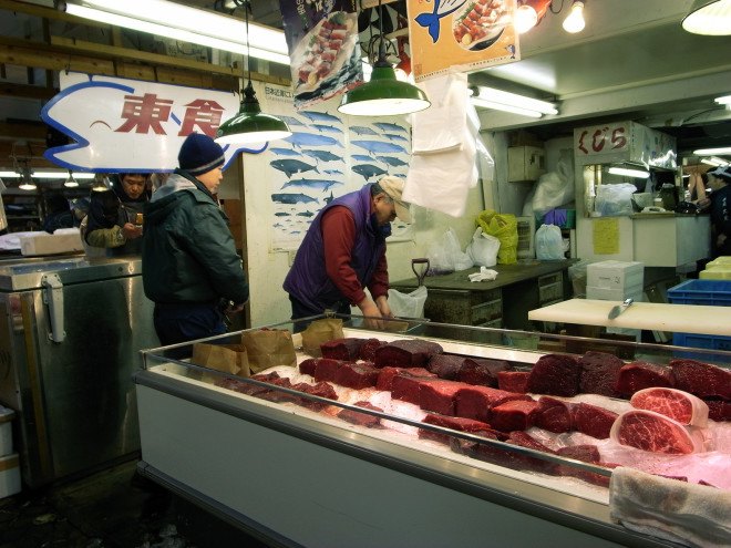 Japan, Japanese whaling, whaling, international law, Antarctic minke whales, whales, whale, pregnant whales, illegal whaling, whale meat, whale meat sold, whale meat consumed