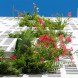 jean nouvel, cyprus, nicosia, Eleftheria Square, greenery, plants, balcony, atrium, landscape design