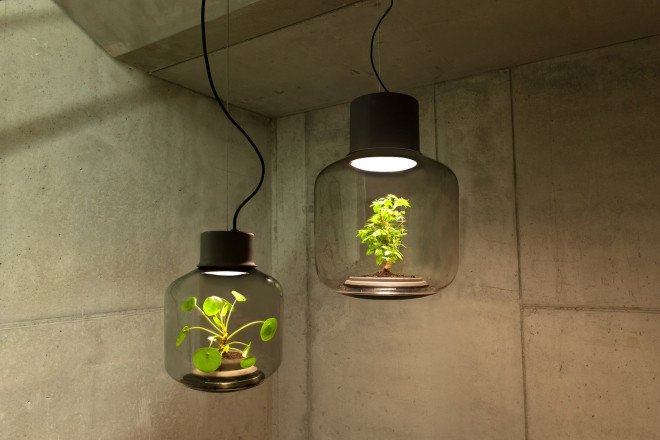 Mygdal Plantlamp, We Love Eames, design, plants, plants indoors, self-sustaining ecosystem, lighting, LED lighting, German design