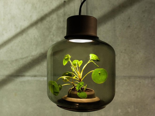 Mygdal Plantlamp, We Love Eames, design, plants, plants indoors, self-sustaining ecosystem, lighting, LED lighting, German design, hanging lamp, hanging style
