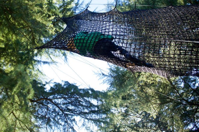 tube merano, numen / for use, bau, spring festival, south tyrol, italian festival, art & nature, walking with senses, net tubing, tree climbing, tree net, tree installation