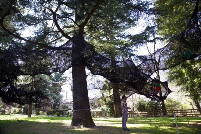 tube merano, numen / for use, bau, spring festival, south tyrol, italian festival, art & nature, walking with senses, net tubing, tree climbing, tree net, tree installation