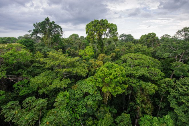 peru, mercury, mercury poisoning, amazon tribe, peruvian amazon tribe, indigenous people, mercury poisoning epidemic peruvian tribe, camisea gas project, health, amazon