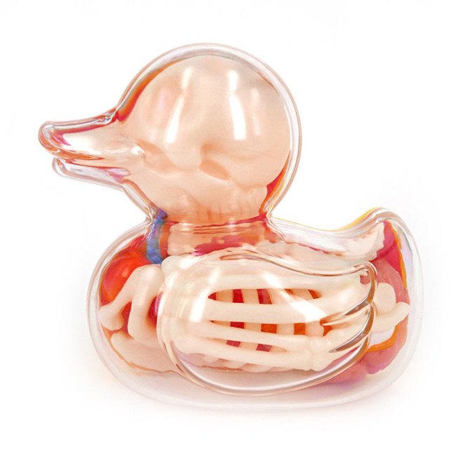Jason Freeny, anatomical rubber ducky, surreal art, Jason Freeny anatomical art kits, surrealist art