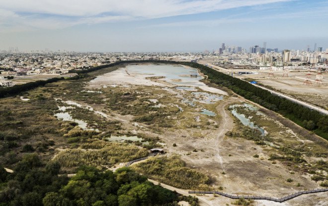 Wasit Natural Reserve, Wasit Natural Reserve Visitor Center, United Arab Emirates, natural reserve, bird habitat, bird watching, landscape architecture, visitor center, X Architects, rehabilitation